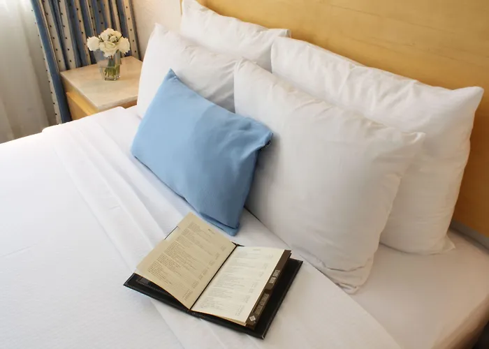 Stella Maris Hotel Mexico City